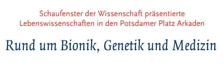 Schaufenster der Wissenschaft