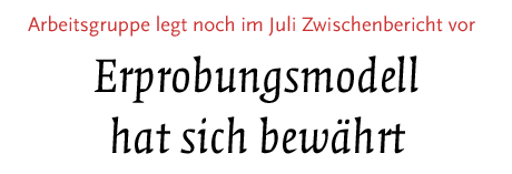 [Erprobungsmodell hat sich bewährt - Arbeitsgruppe legt noch im Juli Zwischenbericht vor. ]