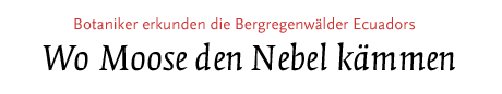 (Botaniker erkunden Bergregenwälder Ecuadors)