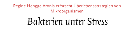 (Überlebensstrategien von Mikroorganismen)