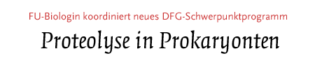 (Proteolyse in Prokaryonten)