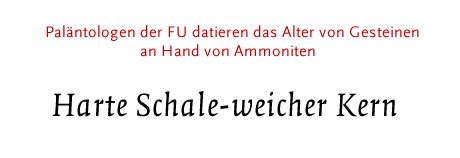 Palänthologen der FU datieren das Alter von Gesteinen an Hand von Ammoniten