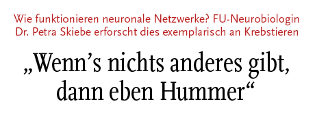 [Wie funktionieren neuronale Netzwerke? FU-Neurobiologin Dr. Petra Skiebe erforscht dies exemplarisch an Krebstieren]