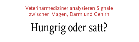 [Veterinärmediziner analysieren Signale zwischen Magen, Darm und Gehirn - Hungrig oder satt?]