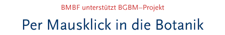 [BMBF unterstützt BGBM–Projekt]