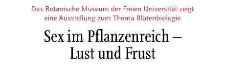 [Sex im Pflanzenreich]