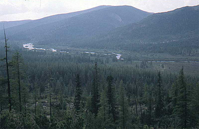 Quellgebiet der Lena im Nordwesten des Baikal