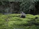 IMG 2303