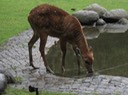 IMG 2307
