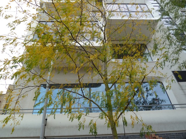 P1020775