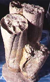 D16kl.jpg