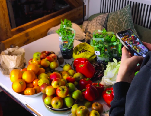 Weitergeben statt Wegwerfen – Wie zwei Berliner Start-Ups Lebensmittel retten (Video)