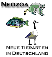 Neue Tierarten in Deutschland