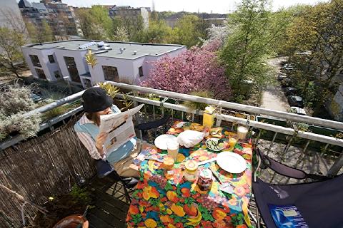 our balcony at breakfast time during full spring cherry blossom time