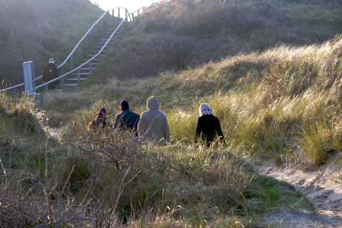 dunes on the island Juist