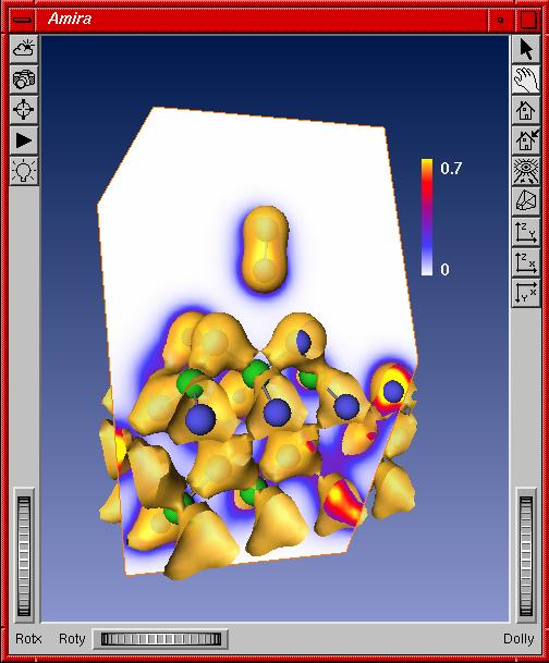 Amira Viwer (klick zu vergroessern)