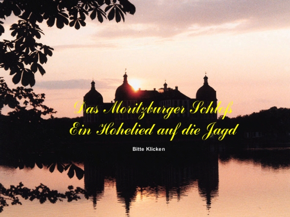 Alexander Laudan und Alexander Schulze: Das Moritzburger Schloss