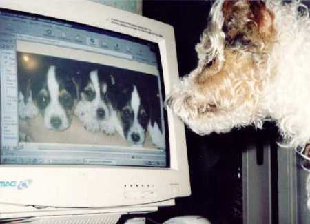 Charlys Faszination f&uuml;r Computer