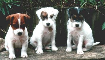 O'Lenny, Onji und Odette