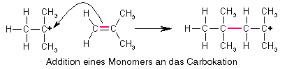 Addition eines Monomers an das Carbokation