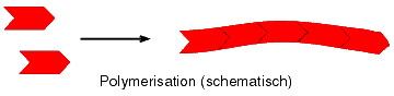 Polymerisation (schematisch)