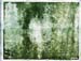gartenteich