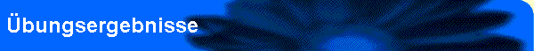 �bungsergebnisse