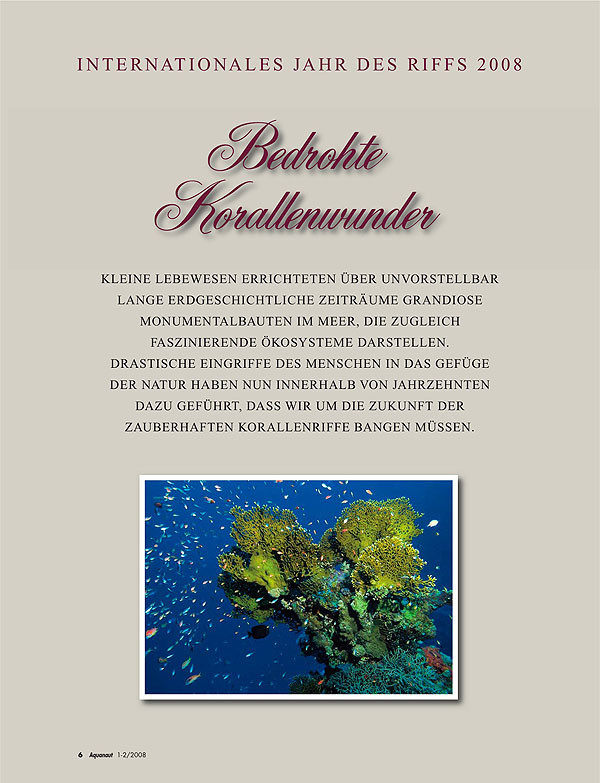PDF Download Artikel Aquanaut Jan-Feb 2008