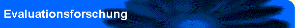 Evaluationsforschung