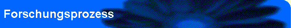 Forschungsprozess