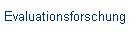 Evaluationsforschung